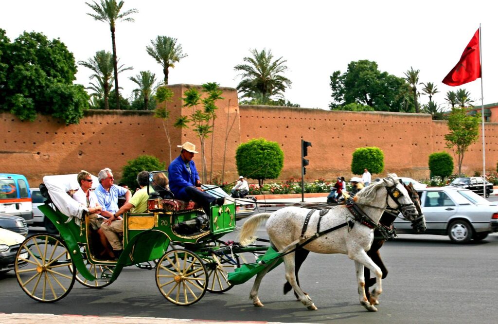Morocco Tourist Guide Ticket to Morocco packages holidays
