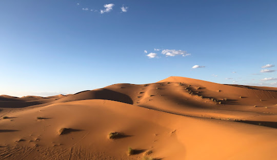 excursion desert marrakech