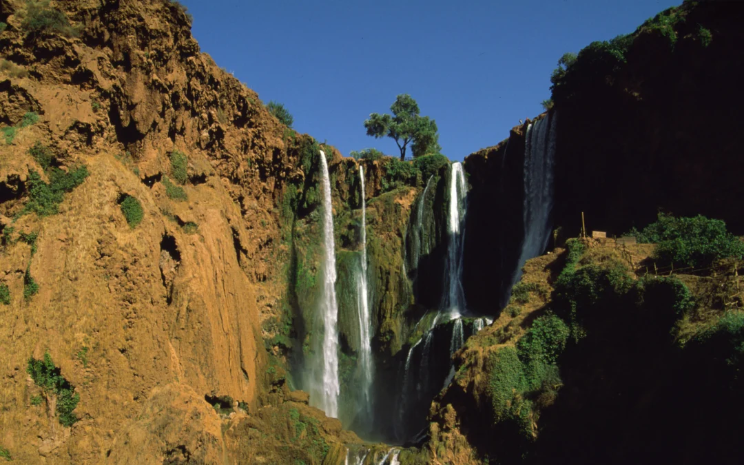 Visitez les cascades Ouzoud en 2024