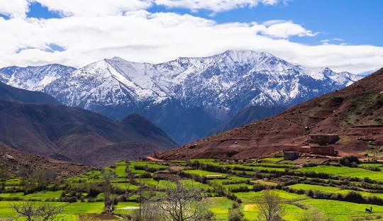 #1 Fun day trip to Atlas mountains from Marrakech